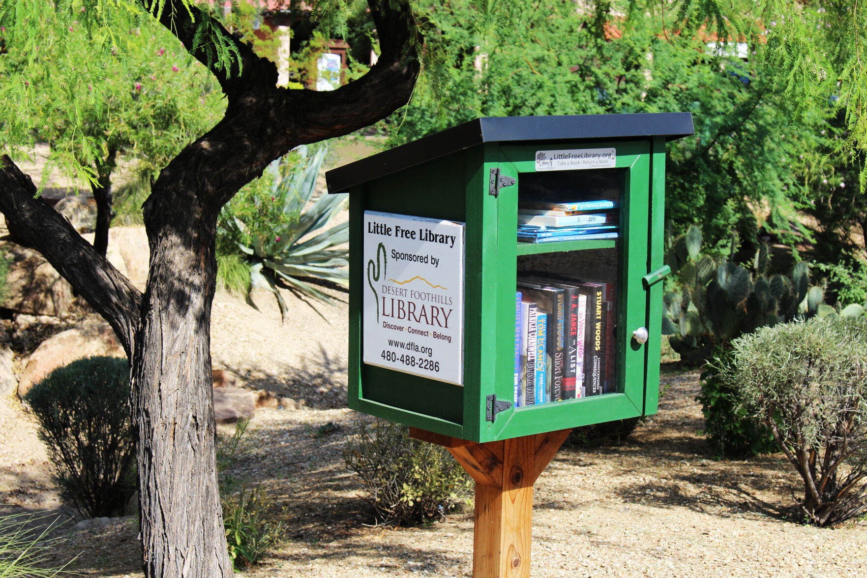 6_DesertBotanicalGardens_LittleLibraryIMG_1674_k.miller.JPG